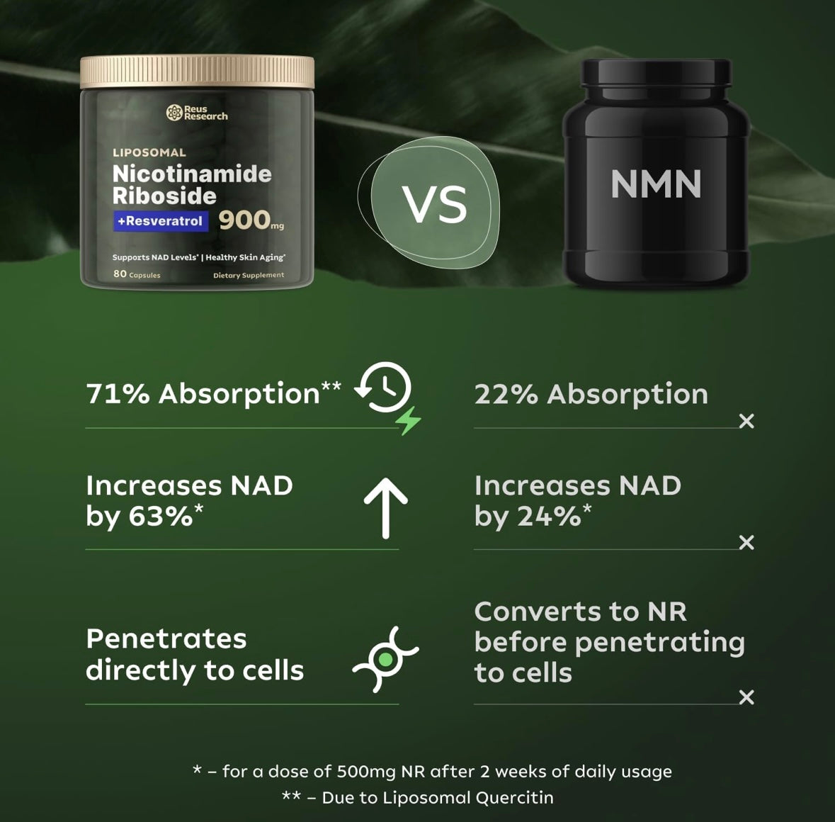 Reus Research Advanced NAD+ Booster 900Mg for Enhanced Absorption, Energy, and Anti-Aging Support – 80 Vegan Capsules, Made in USA - Fast and Free Shipping