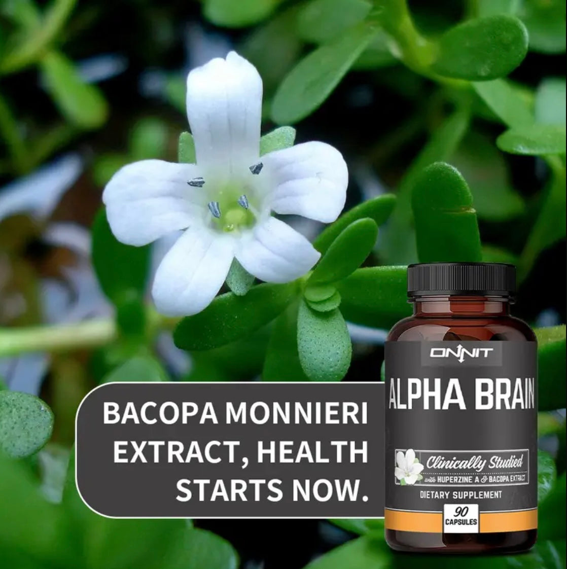 Alpha BRAIN® Nootropic Supplement – Enhance Memory, Focus, and Mental Speed – Caffeine-Free Cognitive Support – 90 Capsules